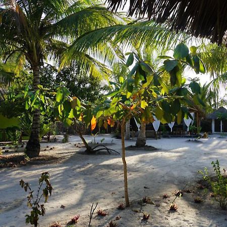Dreams Of Mapacha Bed & Breakfast Michamvi Kae Bagian luar foto
