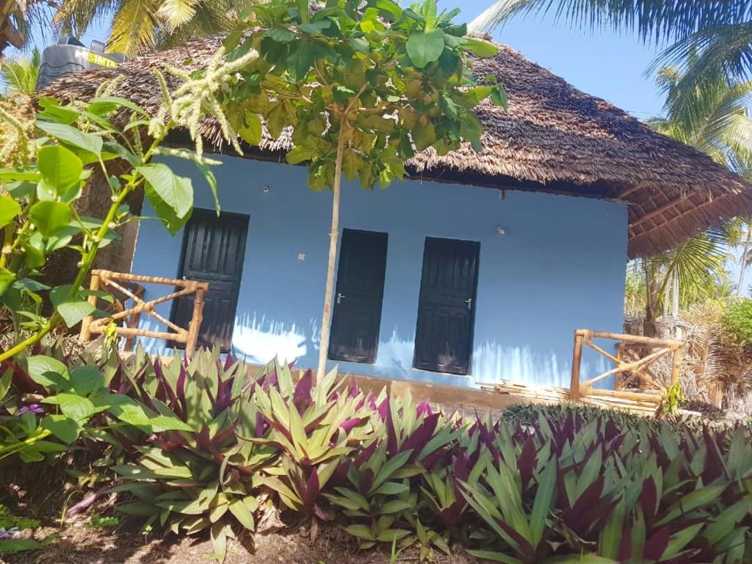 Dreams Of Mapacha Bed & Breakfast Michamvi Kae Bagian luar foto