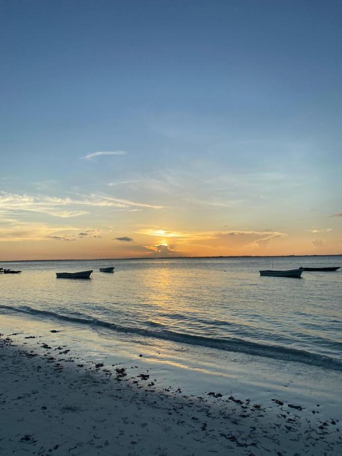 Dreams Of Mapacha Bed & Breakfast Michamvi Kae Bagian luar foto