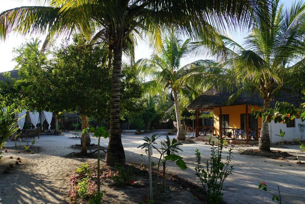 Dreams Of Mapacha Bed & Breakfast Michamvi Kae Bagian luar foto