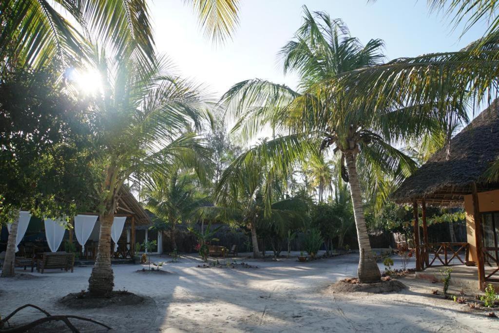 Dreams Of Mapacha Bed & Breakfast Michamvi Kae Bagian luar foto