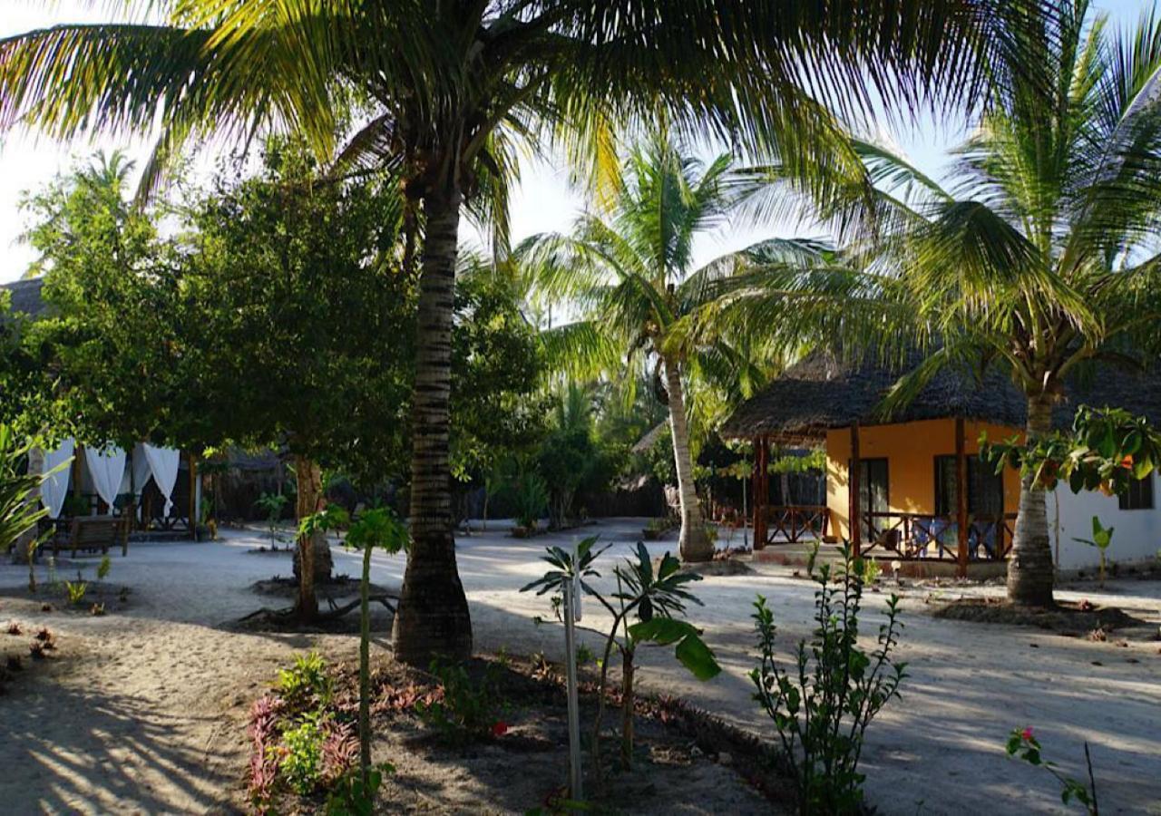 Dreams Of Mapacha Bed & Breakfast Michamvi Kae Bagian luar foto