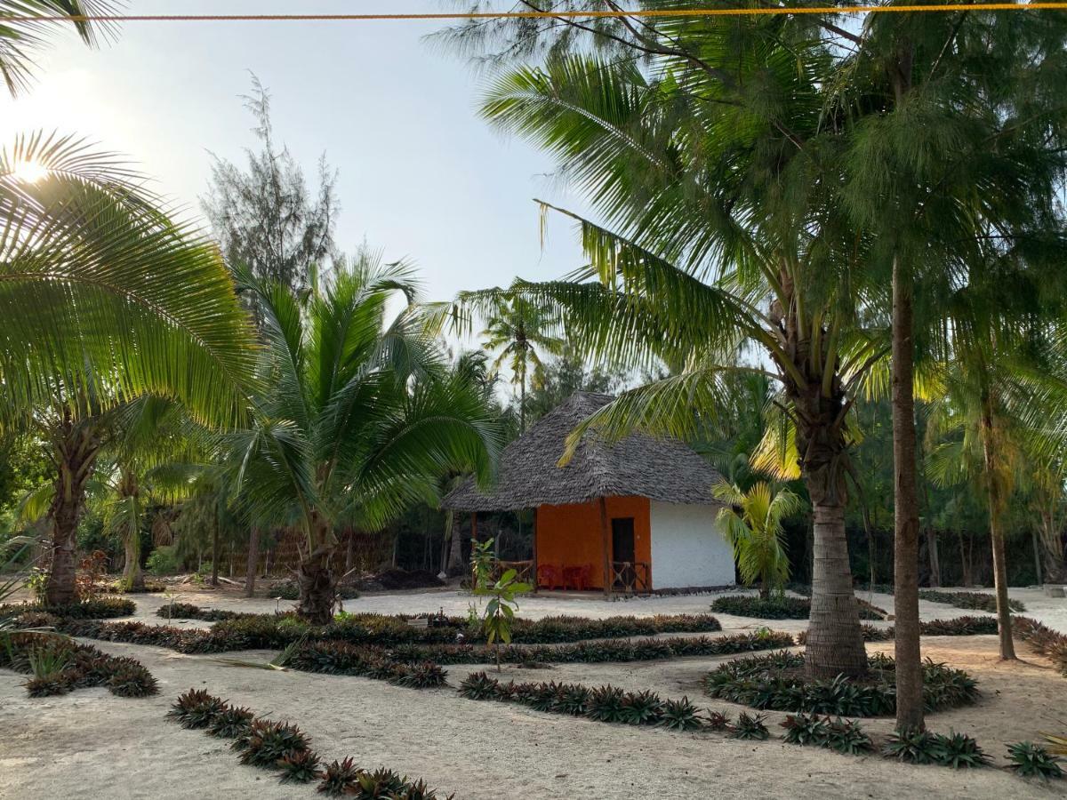 Dreams Of Mapacha Bed & Breakfast Michamvi Kae Bagian luar foto